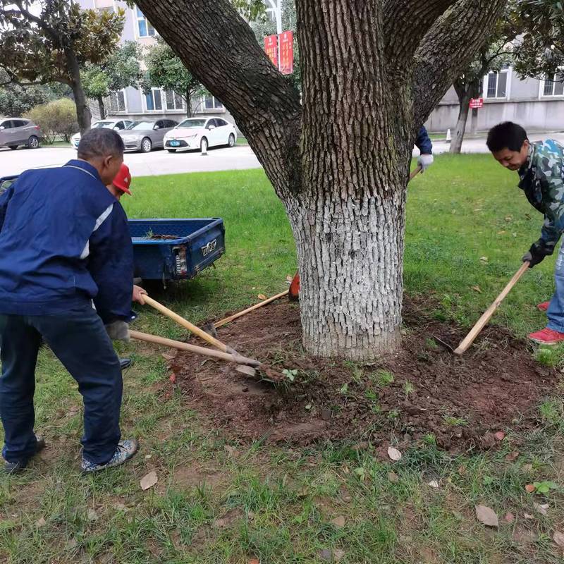 1636423181173859.jpg f862b89e-bef9-4195-8ed8-8bd1780056da.jpg