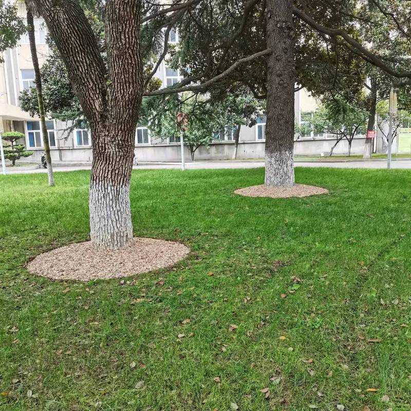 1636423202137102.jpg 2ad03f73-3361-497d-80e8-799784fe1a4f.jpg