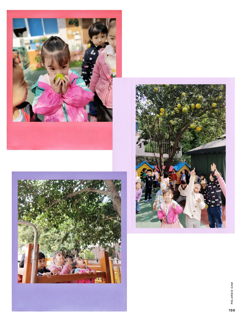 1635477217909869.jpg d23c8e91-fd73-4f65-95b1-70ad4ad39b97.jpg