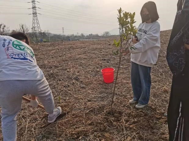 1648555316715745.jpg 1648555316715745.jpg