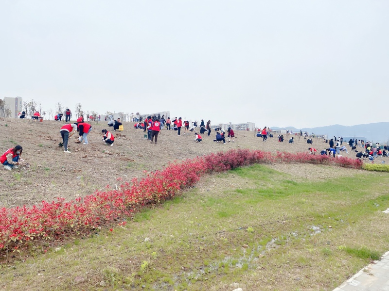 1648801227965108.jpg 1.jpg